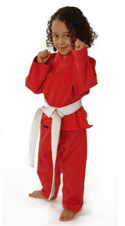 Free Didsbury Martial arts seminar  | Martail Arts Manchester | Kickboxing Manchester | MMA Manchester | Karate Lessons 
